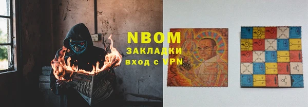 шишки Краснослободск