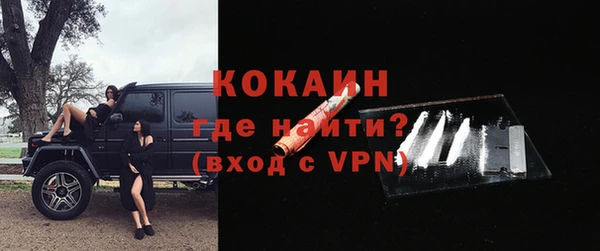 шишки Краснослободск