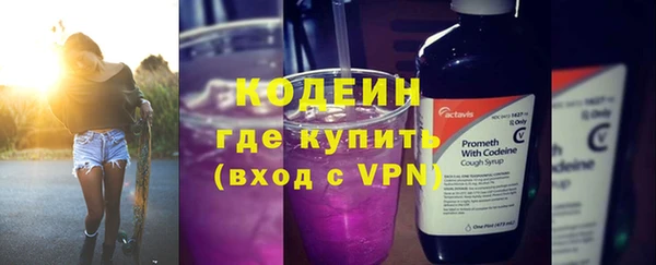 шишки Краснослободск