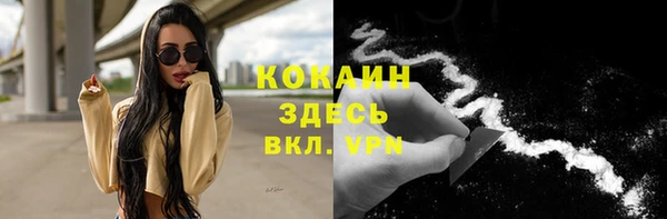 шишки Краснослободск