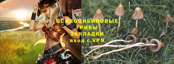 шишки Краснослободск