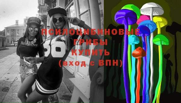 шишки Краснослободск