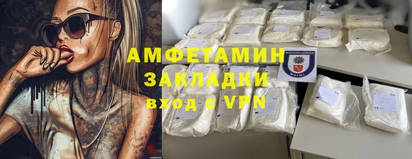 шишки Краснослободск